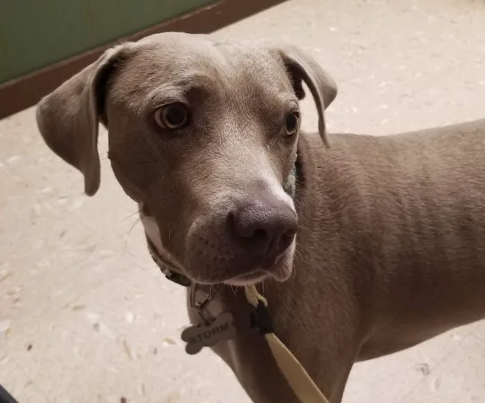 Trinity Animal Hospital Picture 10