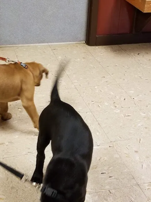 Trinity Animal Hospital Picture 9