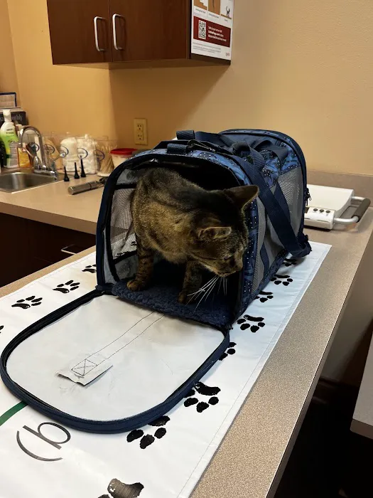 Animal Care Center-Lake Houston Picture 1