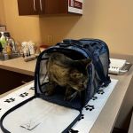 Animal Care Center-Lake Houston