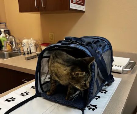 Animal Care Center-Lake Houston