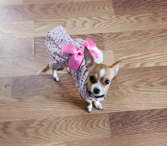 Animal Care Center-Lake Houston Picture 3