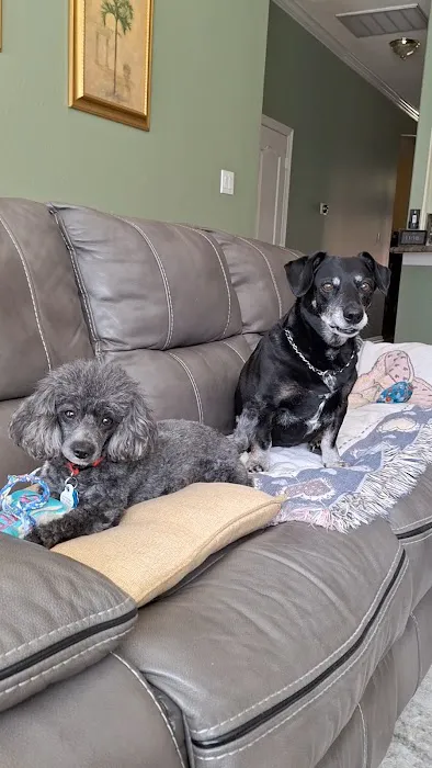 Animal Care Center-Lake Houston Picture 2