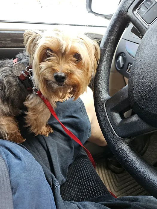 Animal Care Center-Lake Houston Picture 5