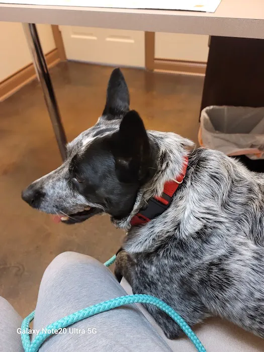 Animal Care Center-Lake Houston Picture 7