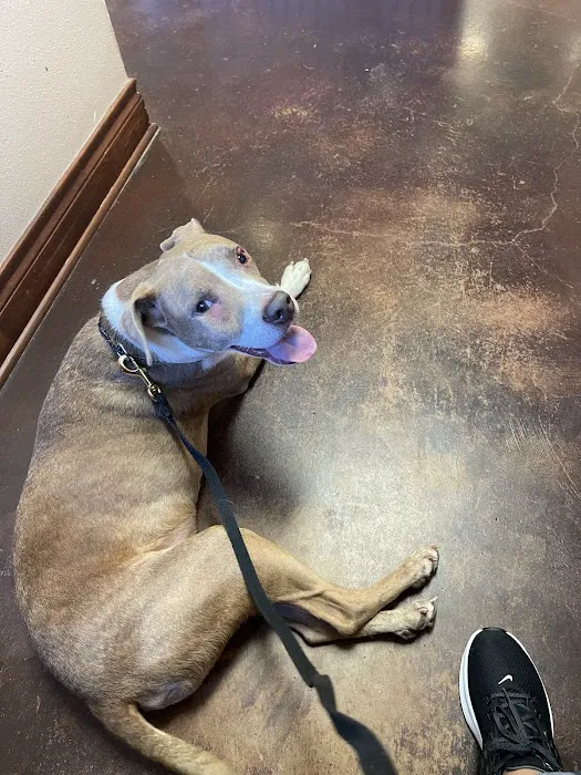 Animal Care Center-Lake Houston Picture 9