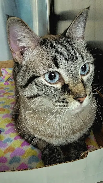 Crosby Veterinary Clinic Picture 1