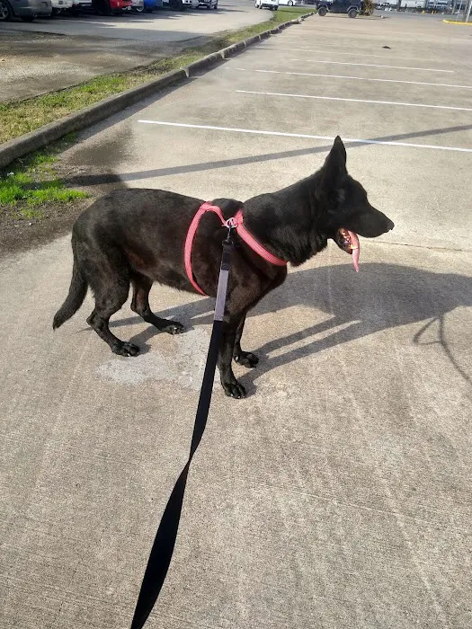 Crosby Veterinary Clinic Picture 2