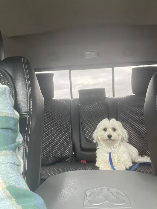 Crosby Veterinary Clinic Picture 4