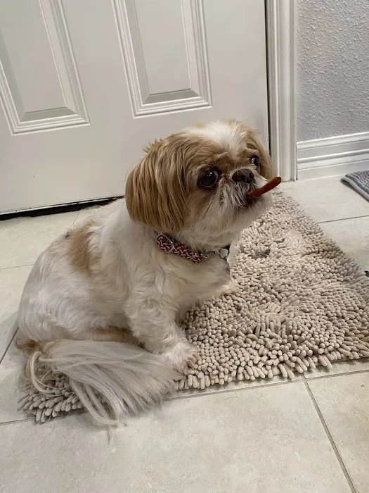 Crosby Veterinary Clinic Picture 5