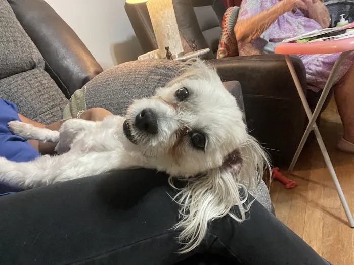 Crosby Veterinary Clinic Picture 3