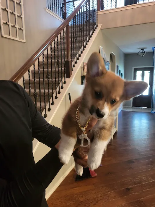 Crosby Veterinary Clinic Picture 9