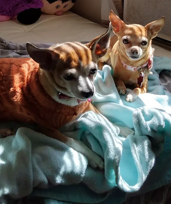 Crosby Veterinary Clinic Picture 6