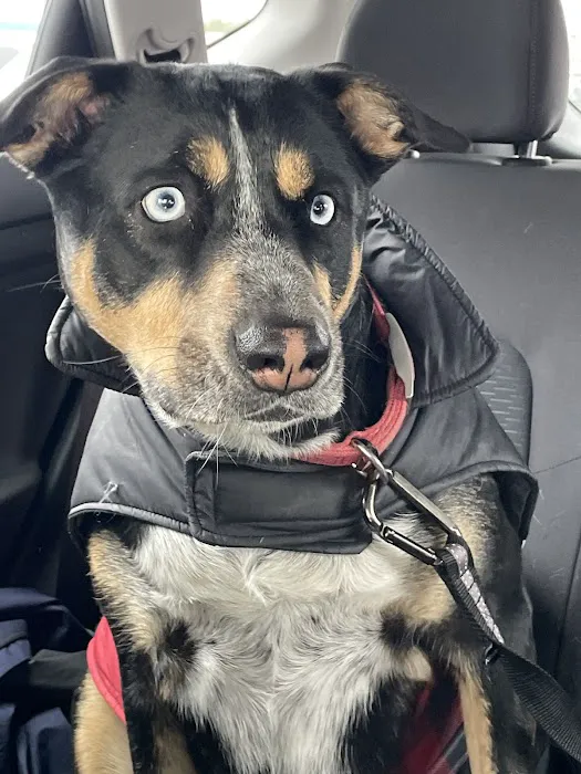 Crosby Veterinary Clinic Picture 8