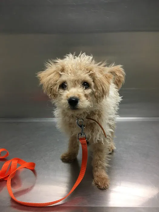 Crosby Veterinary Clinic Picture 7