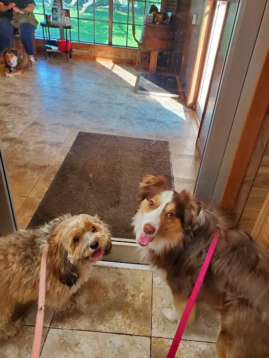 Caldwell Veterinary Clinic Picture 2