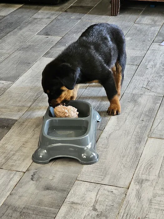 Caldwell Veterinary Clinic Picture 1