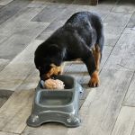 Caldwell Veterinary Clinic