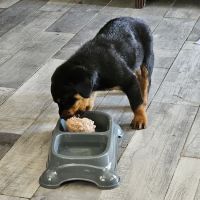 Caldwell Veterinary Clinic ico