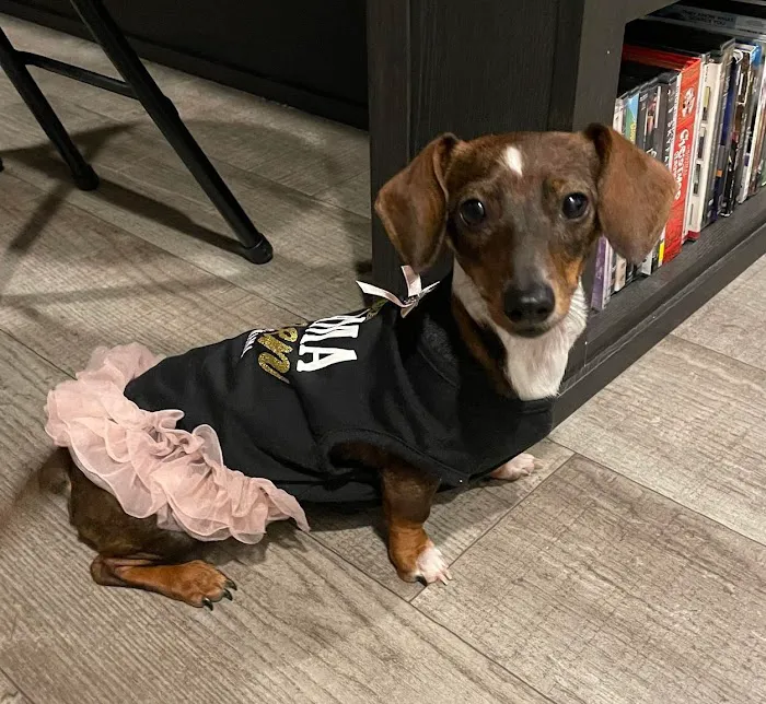 Caldwell Veterinary Clinic Picture 7