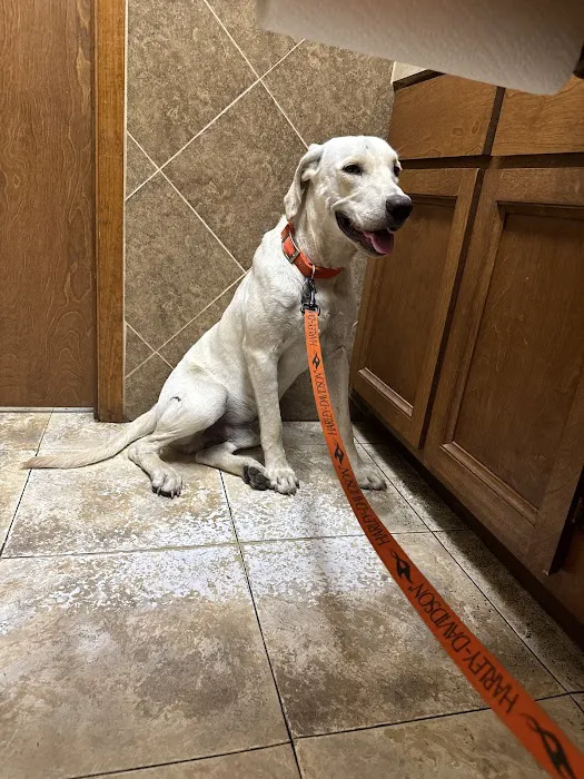 Caldwell Veterinary Clinic Picture 6