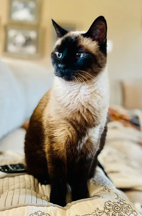 Caldwell Veterinary Clinic Picture 4