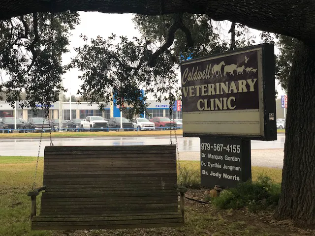 Caldwell Veterinary Clinic Picture 10