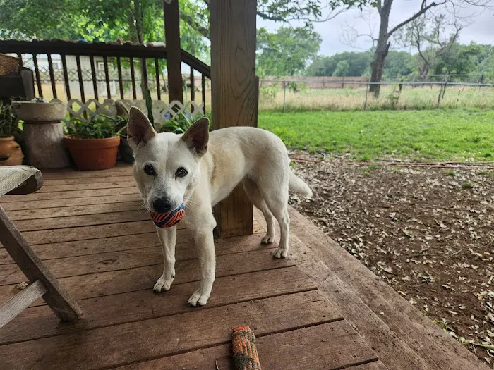 Bastrop Veterinary Hospital Picture 2