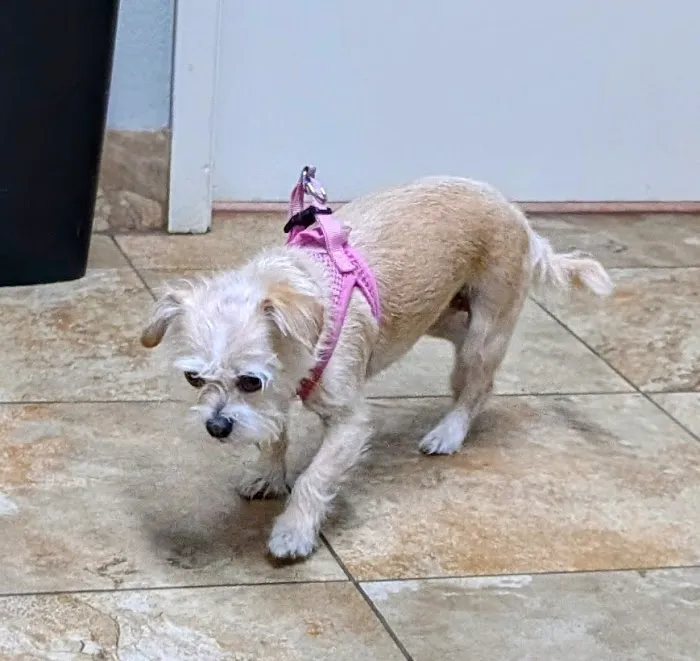 Bastrop Veterinary Hospital Picture 1