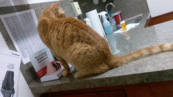 Bastrop Veterinary Hospital Picture 5