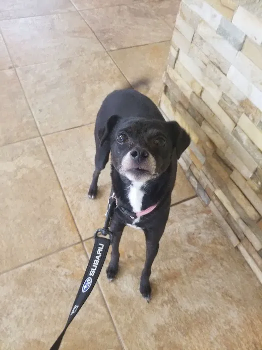 Bastrop Veterinary Hospital Picture 8