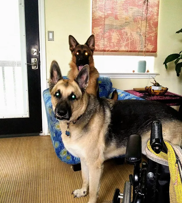 Bastrop Veterinary Hospital Picture 10