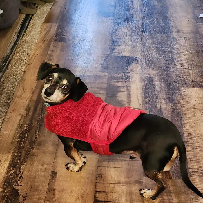 Crossroads Animal Hospital Picture 2