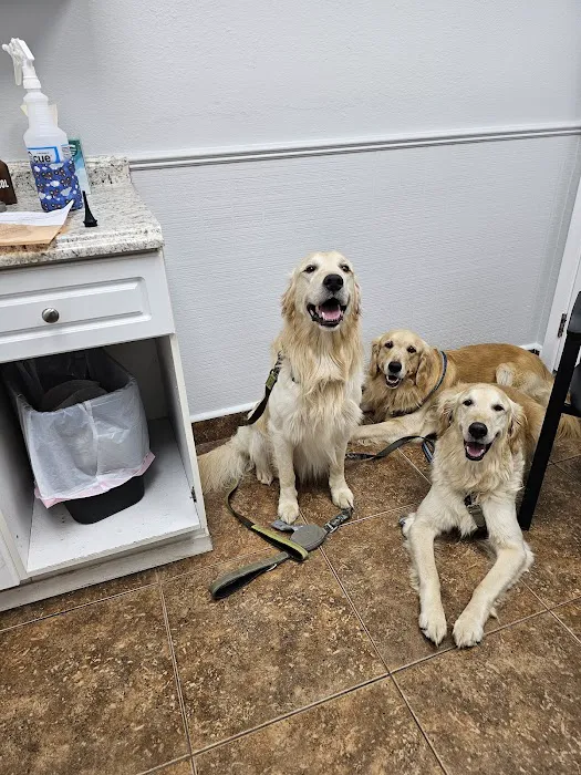 Crossroads Animal Hospital Picture 3