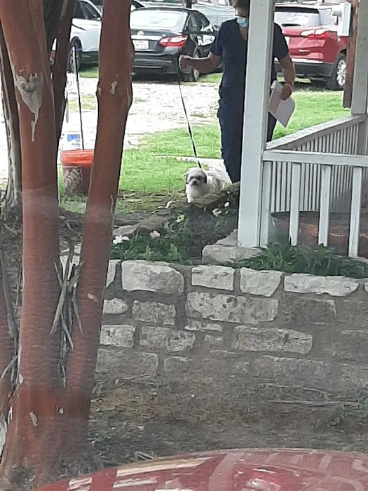 Crossroads Animal Hospital Picture 5