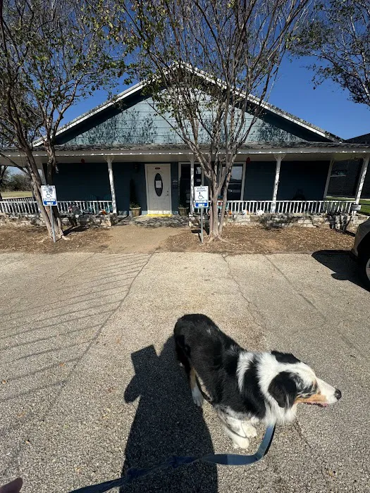 Crossroads Animal Hospital Picture 7