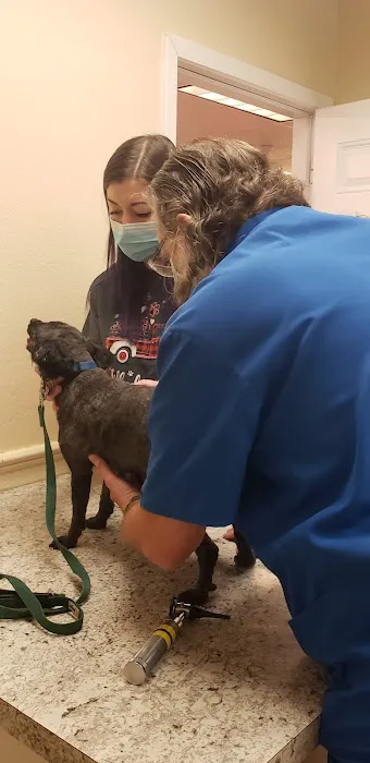 Crossroads Animal Hospital Picture 10