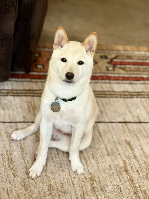 Vetco Total Care Animal Hospital Picture 3