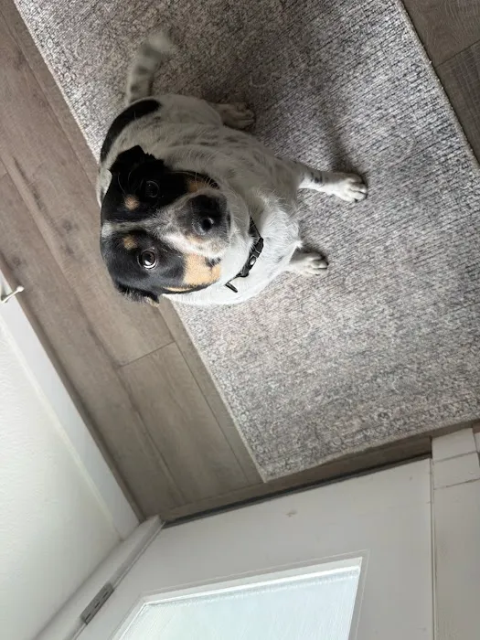 Vetco Total Care Animal Hospital Picture 1