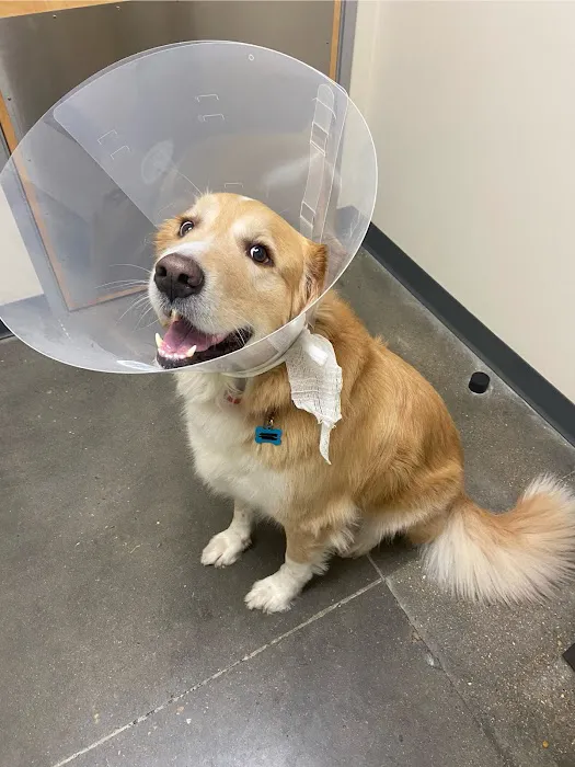 Vetco Total Care Animal Hospital Picture 2