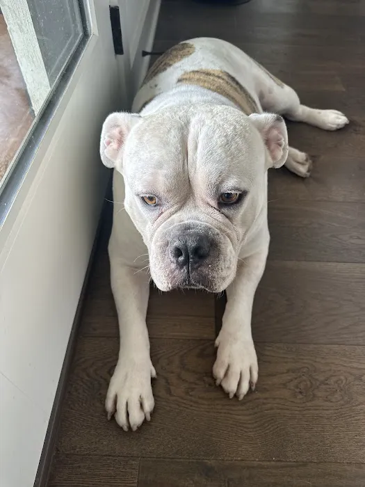 Vetco Total Care Animal Hospital Picture 9