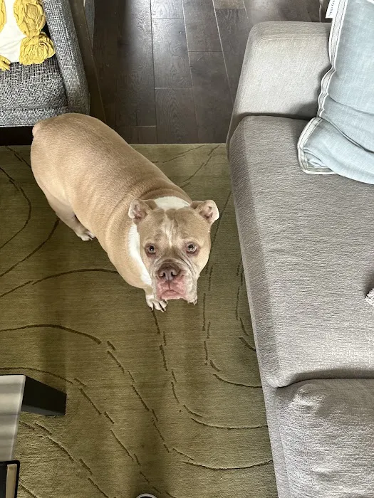 Vetco Total Care Animal Hospital Picture 10