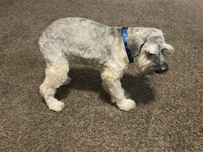 Chisholm Trail Veterinary Clinic of Lockhart Picture 4