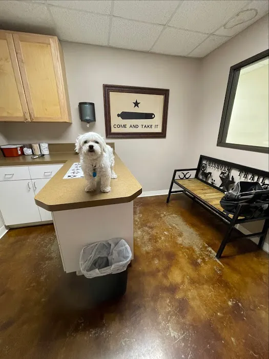 Chisholm Trail Veterinary Clinic of Lockhart Picture 5