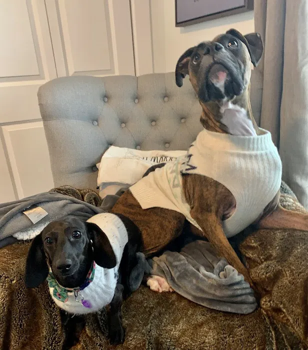 Chisholm Trail Veterinary Clinic of Lockhart Picture 6