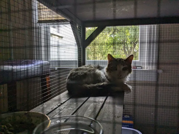 Lockhart Animal Clinic Picture 1