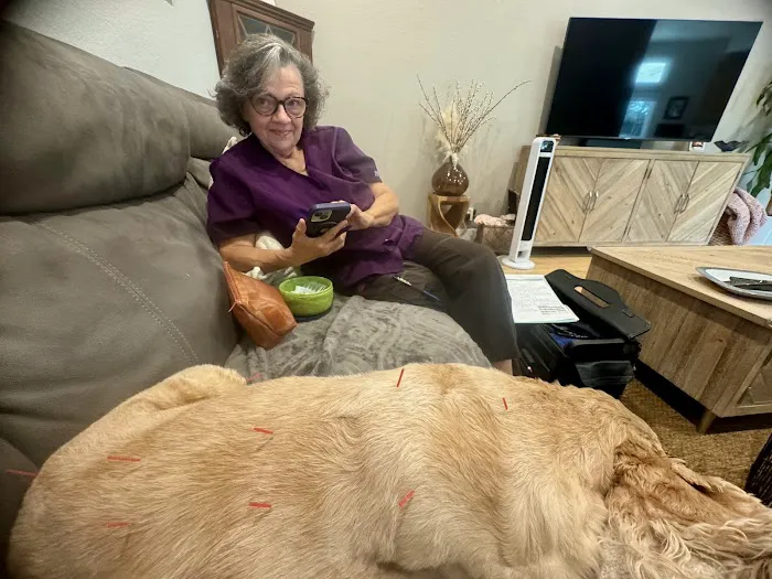 Acupuncture For Pets Picture 1