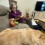 Acupuncture For Pets