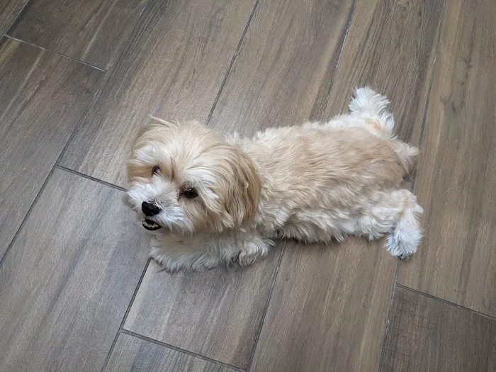 Mission Oaks Veterinary Clinic Picture 1