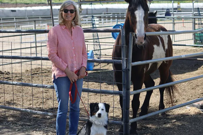 Mission Oaks Veterinary Clinic Picture 3